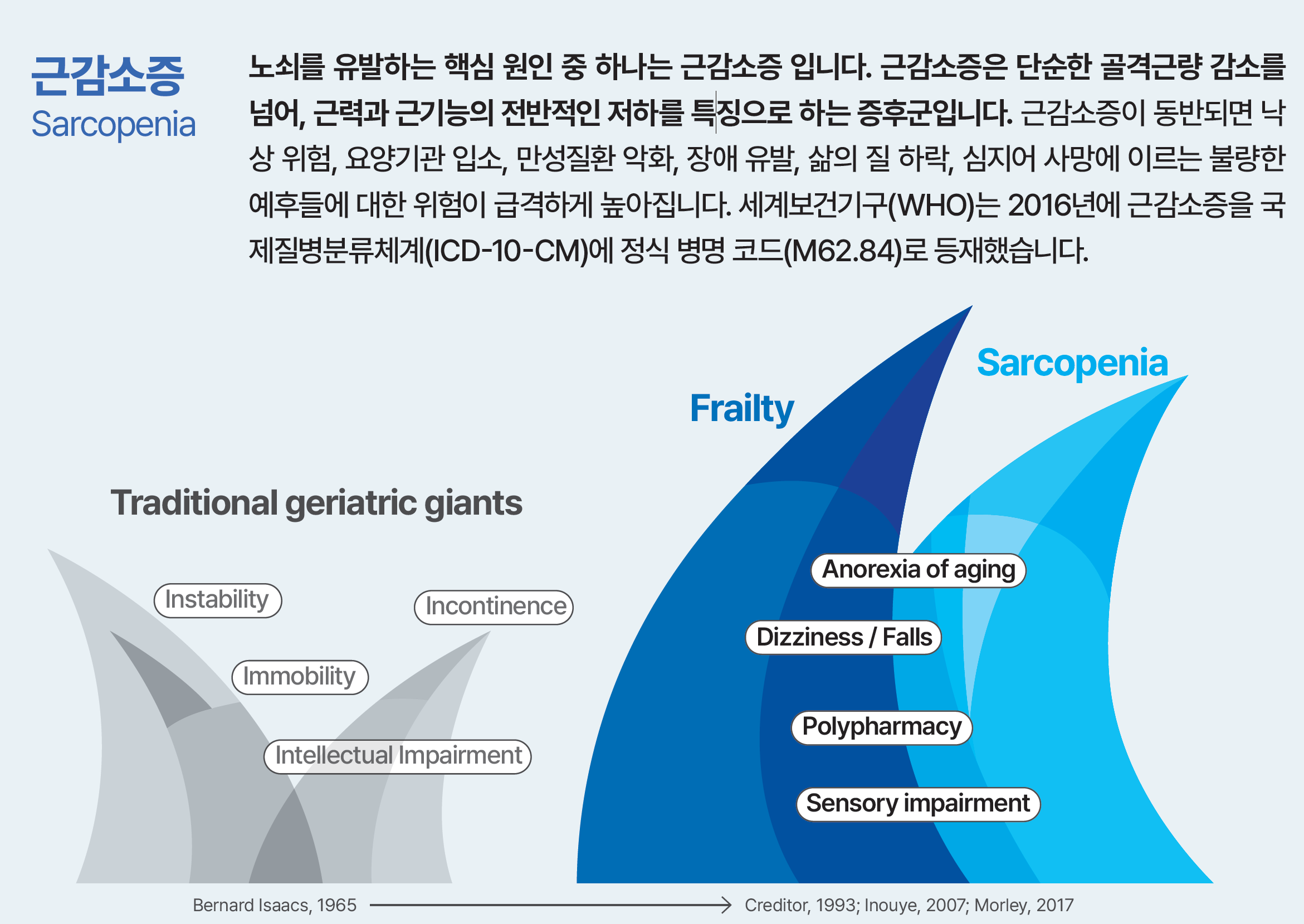 노쇠와 근감소증의 개념적 관계를 보여주는 도식
