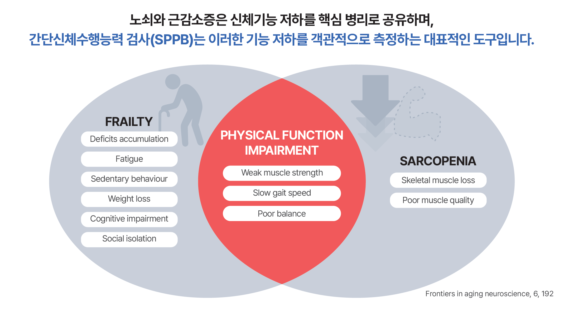 노쇠와 근감소증은 신체기능 저하를 공통 기반으로 공유하며, 신체기능 평가는 두 상태를 연결하는 핵심 지표이다
